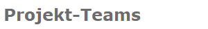 Projekt-Teams